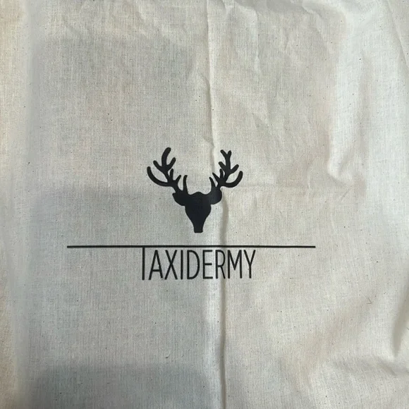 Taxidermy python bag - Picture 2 of 8